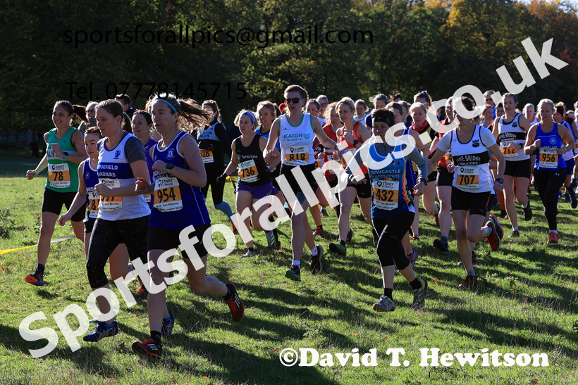 Senior Womens 2025 Start Fitness NEHL, Lambton, County Durham. Photo: David T. Hewitson/Sports for All Pics
